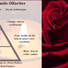 Parfum d'intérieur Amour parfait senteur Rose rouge et Pierres – Image 2