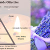 Parfum d'intérieur Purification sublime senteur Lavande et Pierres – Image 2